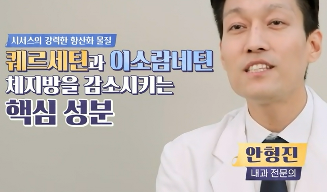 시서스 효능