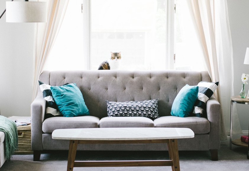 '쉬운 사람'은 이제 그만! 50대 돌미르의 자존감 지키는 중년 연애의 황금률