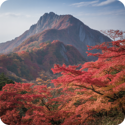 지리산 피아골 단풍축제 단풍절정시기 이미지