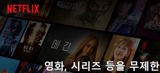 넷플리스
