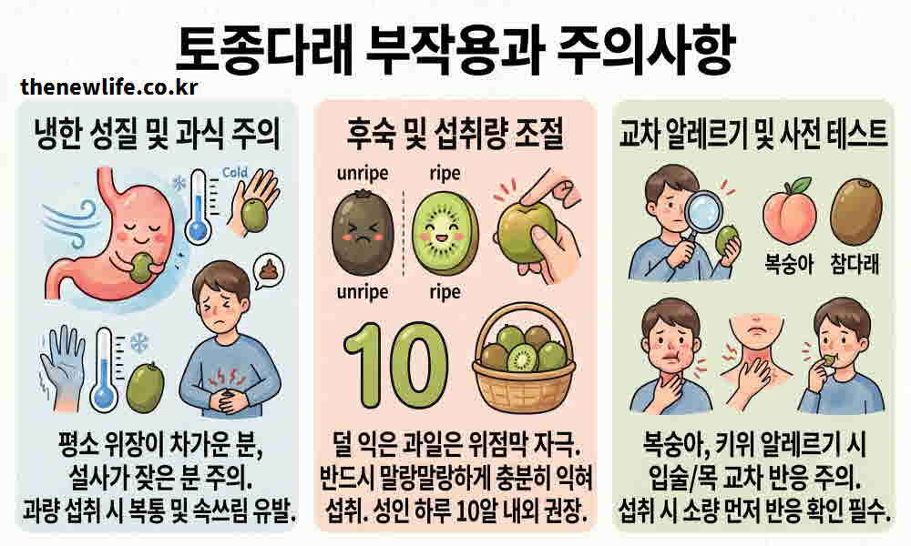 토종다래 효능 부작용