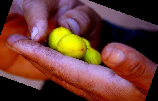 아르간 오일 먹는법