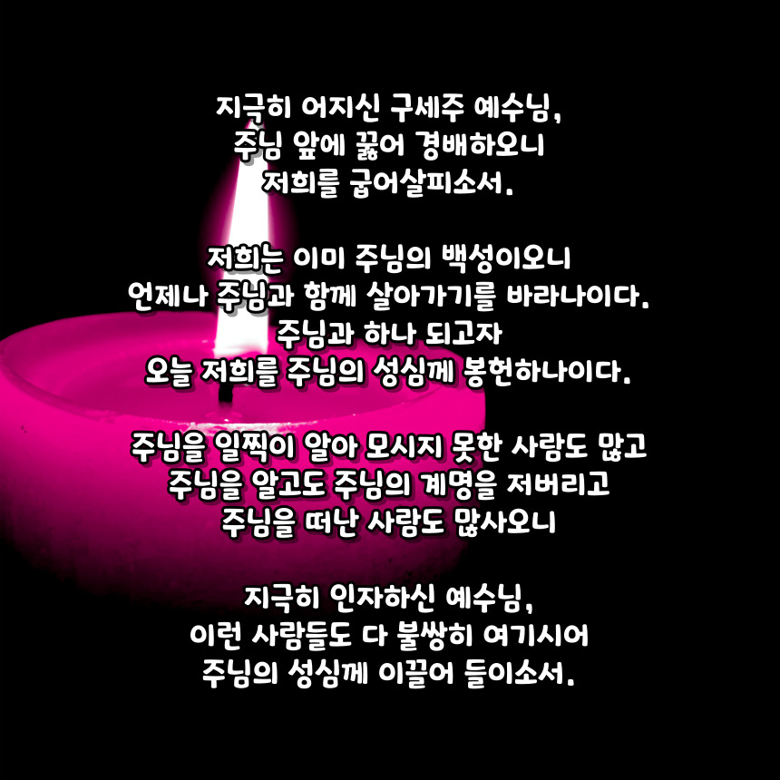 천주교 예수 성심 성월 기도문_성월기도