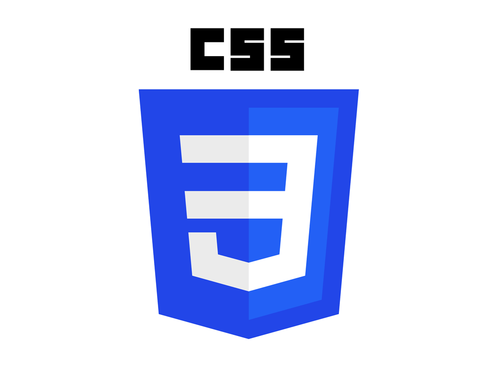 CSS 로고