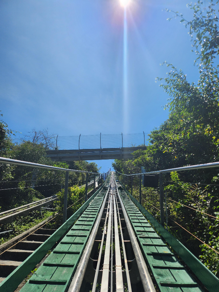 나트랑 빈원더스 알파인코스터 레일위에서