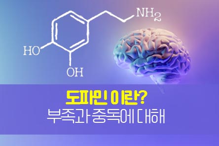 도파민-썸네일