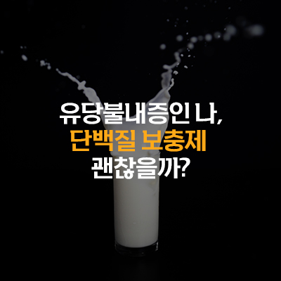 유당불내증인 나, 단백질 보충제 괜찮을까?