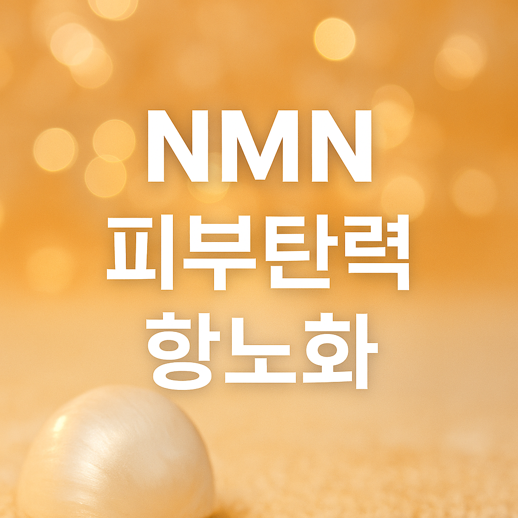 nmn영양제 선택법 이미지