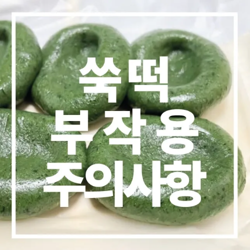 쑥떡 부작용
