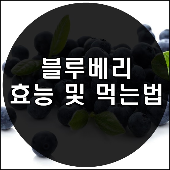 블루베리 효능 썸네일