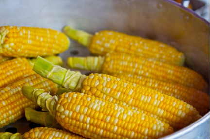옥수수 3종 레시피 알아보자