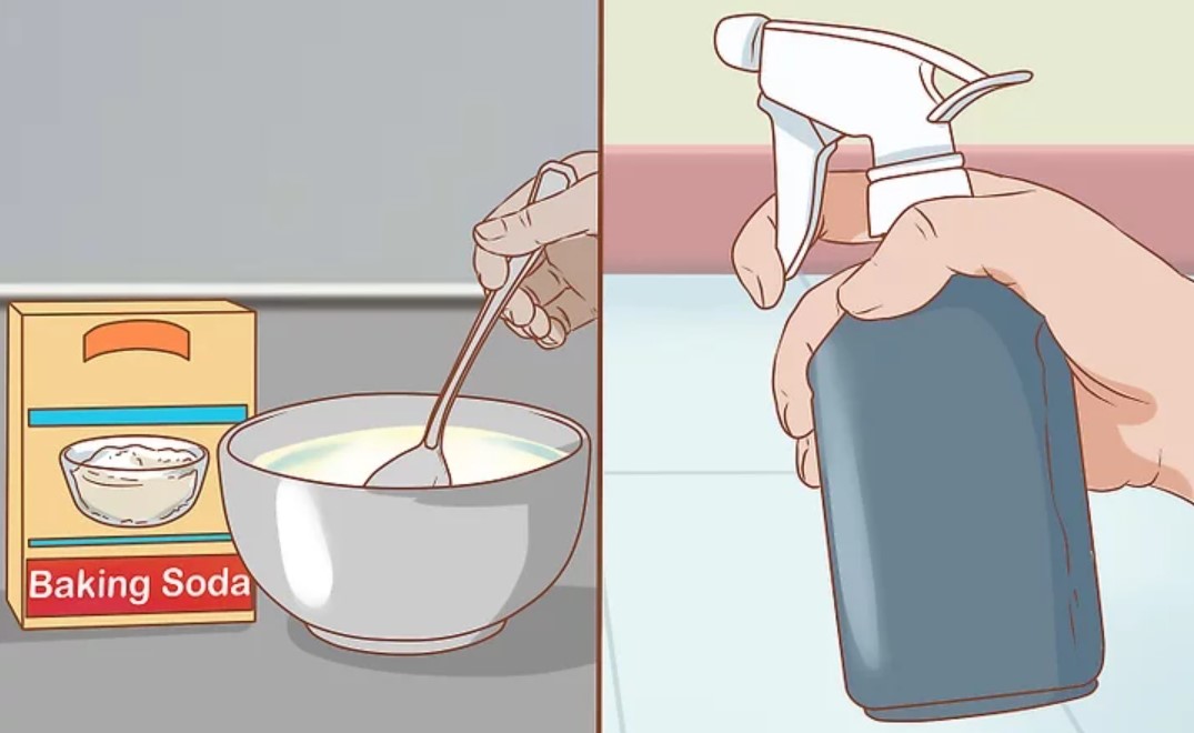 붕사로 만든 곰팡이 제거제