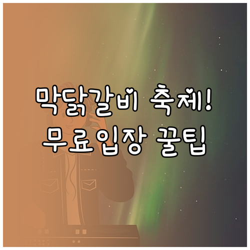 2025 춘천 막국수 닭갈비 축제 개..