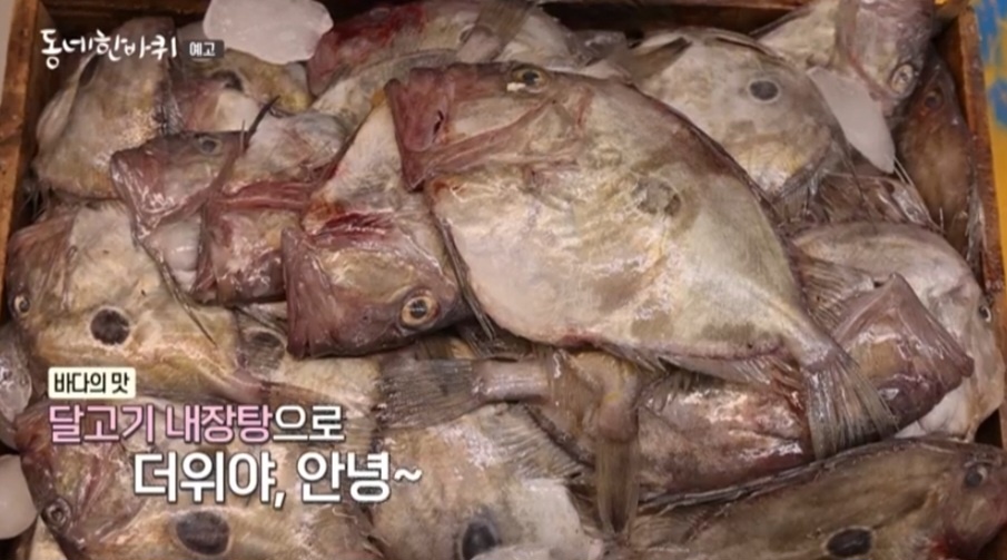동네한바퀴 부산 생선내장탕 맛집(달고기 내장탕)