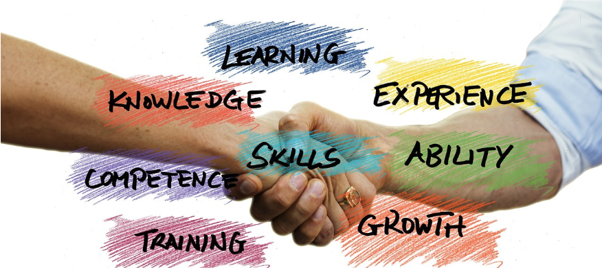 알렉스홀모지 관련사진