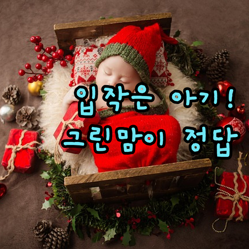 입이 작은 신생아 추천 그린맘 PPS..