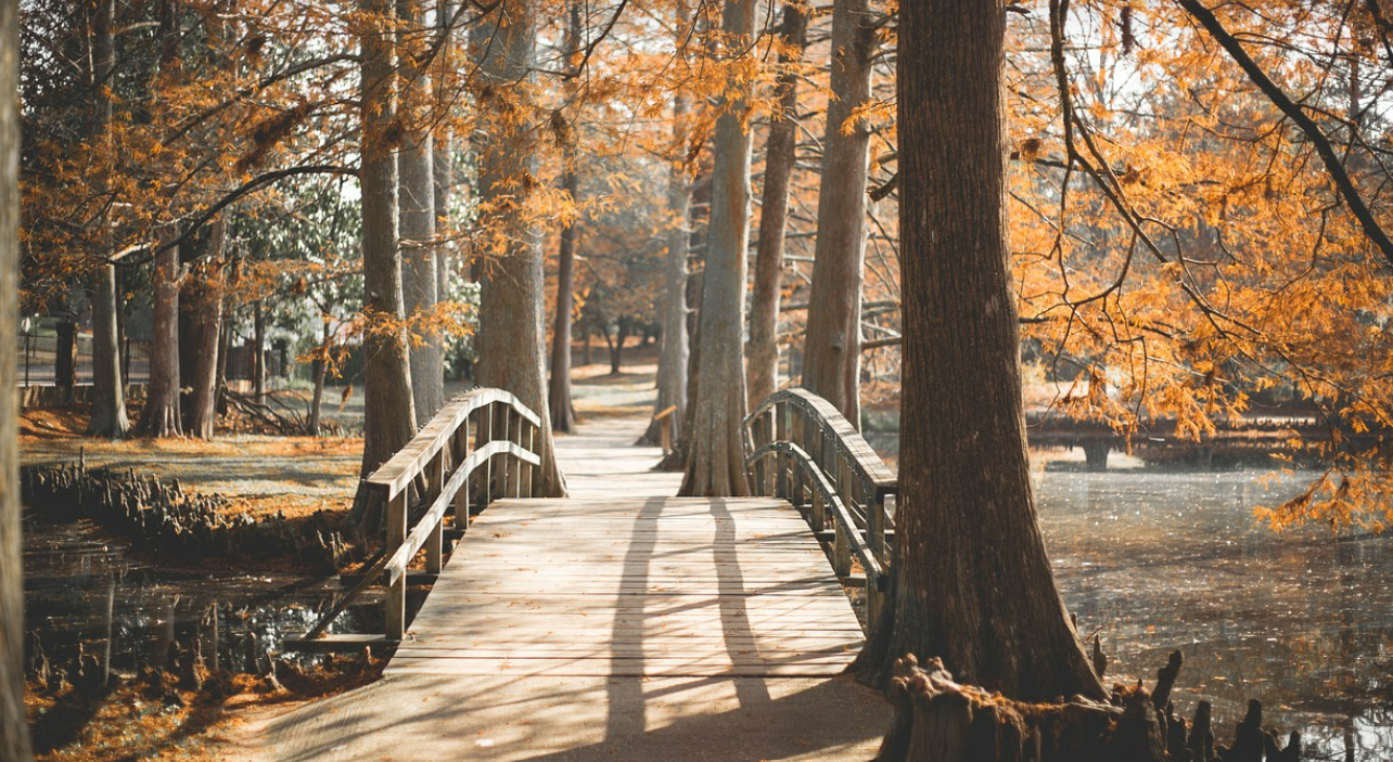 혼자 걷기 좋은 '마음 비우는' 비밀 산책길