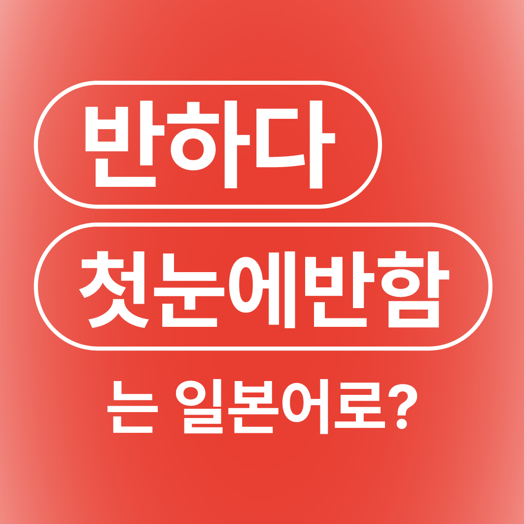 반하다 첫눈에 반함 일본어로