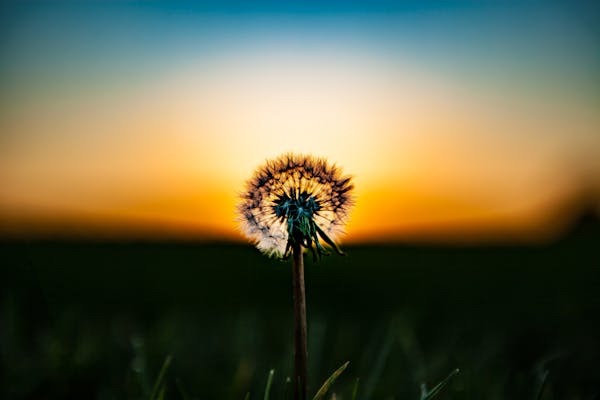 선크림을 바를 때 절대 피해야 할 습관 5가지