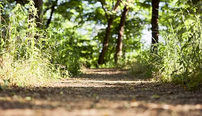 무의식 심리테스트