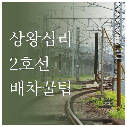 상왕십리역 2호선 배차 간격과 실시간..