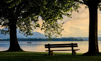채식이 시계를 늦추는 이유 (저속노화의 과학적 비밀)