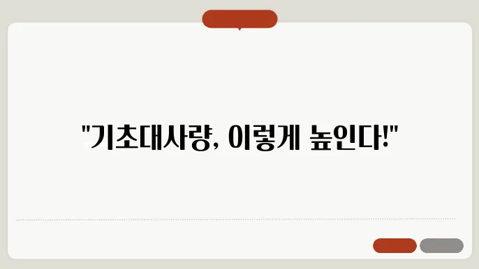 기초대사량 늘리이는 늜려디