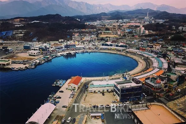 속초 대포항 맛집 추천 회센터 근처 인기 식당 리스트_1