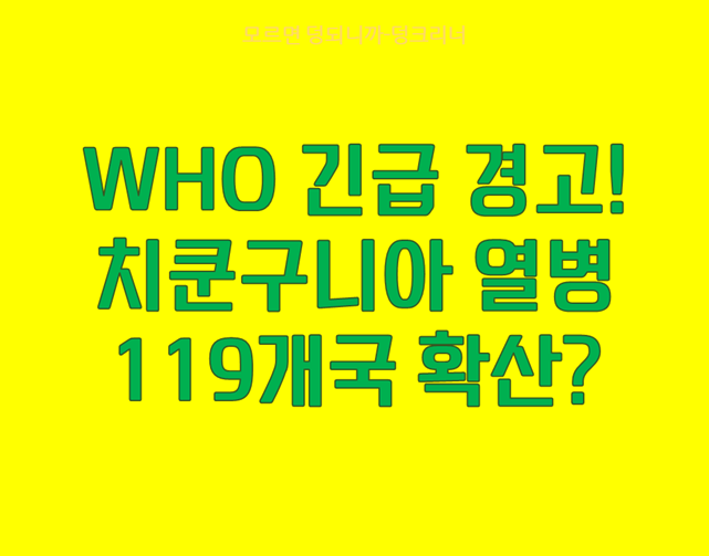 치쿤구니아 열병