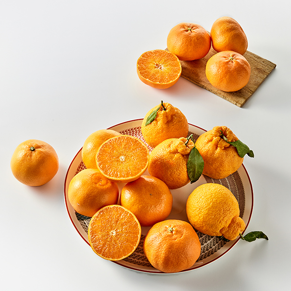 레드향은 일본에서 개발된 고당도 만감류 감귤 품종