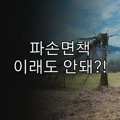 스키장 렌탈 파손면책 가입해도 보상 ..