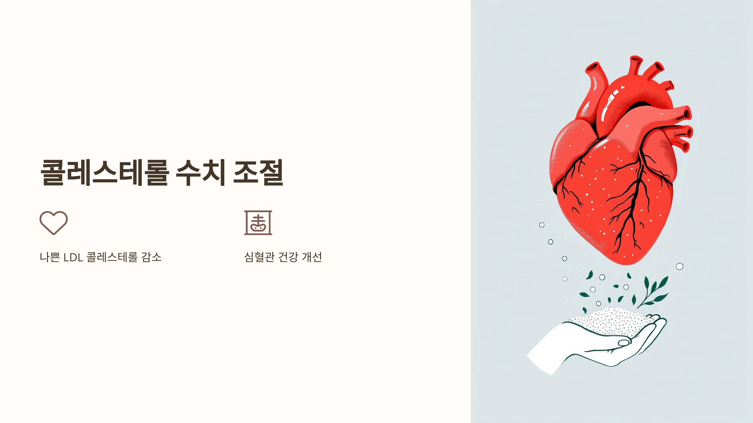 차전자피 사진입니다.