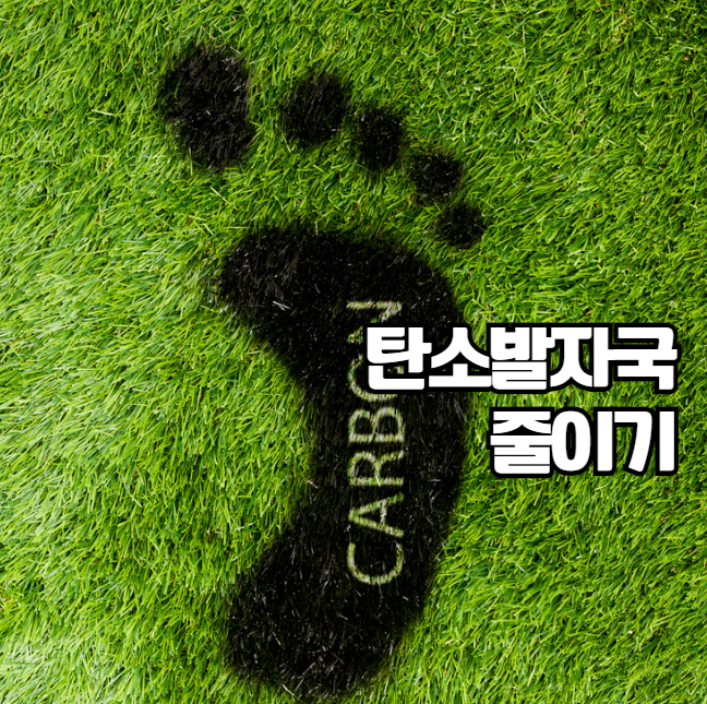 탄소 발자국 줄이는 방법 지구를 지키는 작은 실천 자연사랑 지구온난화 기후변화 문제 해결