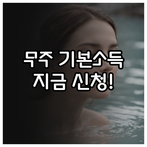 2026년 무주 기본소득 신청 기간과..