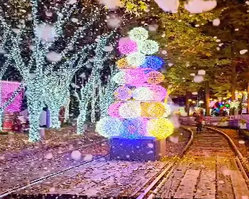 청도 프로방스 빛축제_22