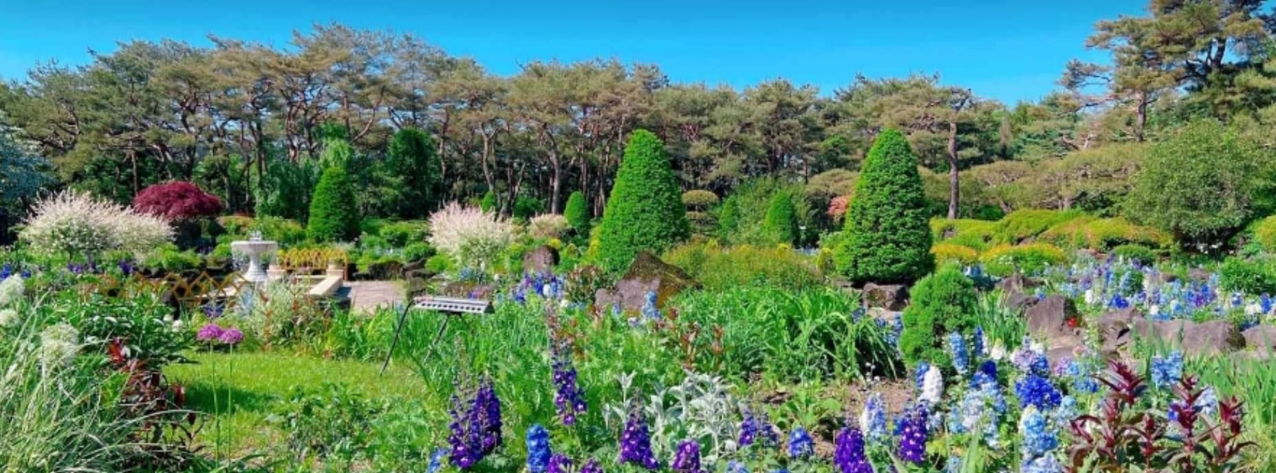 [4월 봄꽃 축제]튤립 축제 즐기기 좋은 서울 근교 여행지 Best 3