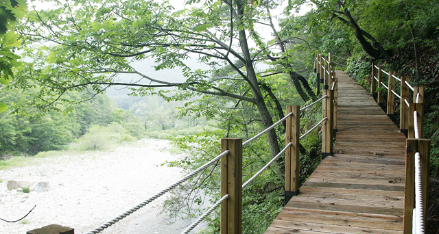 강원도 풀빌라 펜션5