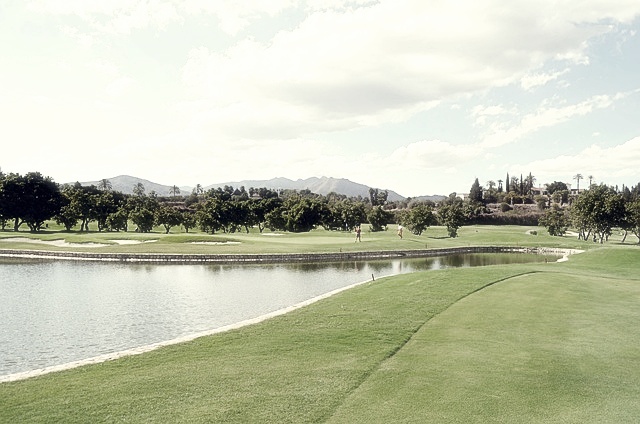 리브 골프 코리아