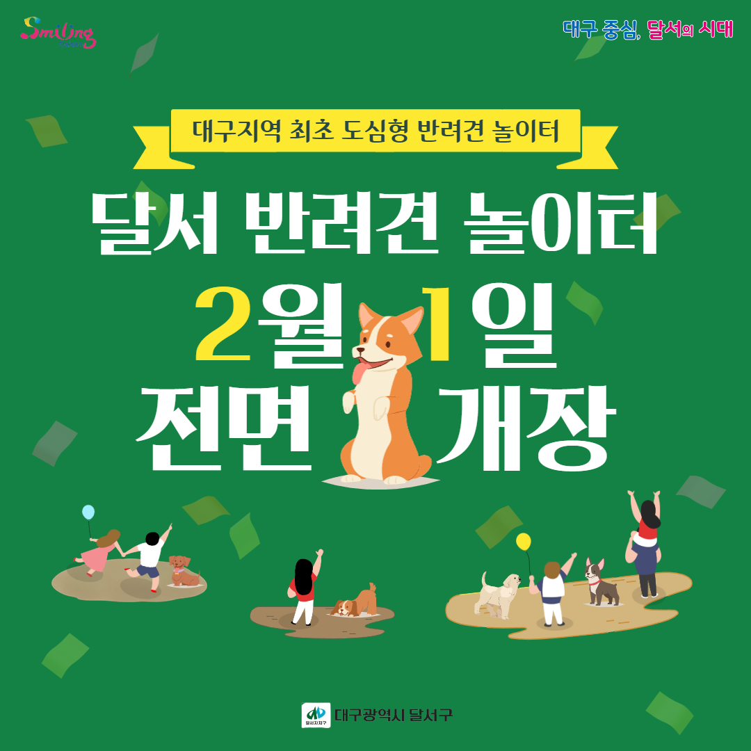 대구 달서구 달서구청 달서 반려견 놀이터 가격 위치 장소 운영 시간 대형견 소형견 중형견 운영
