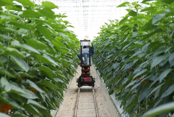 스마트팜 기술자 – 농업의 미래를 설계하는 사람들