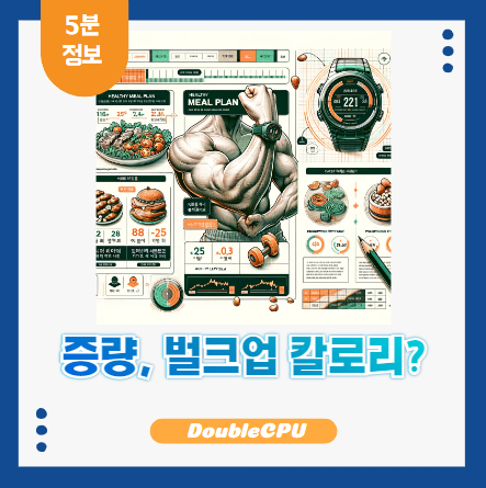 증량, 벌크업 칼로리