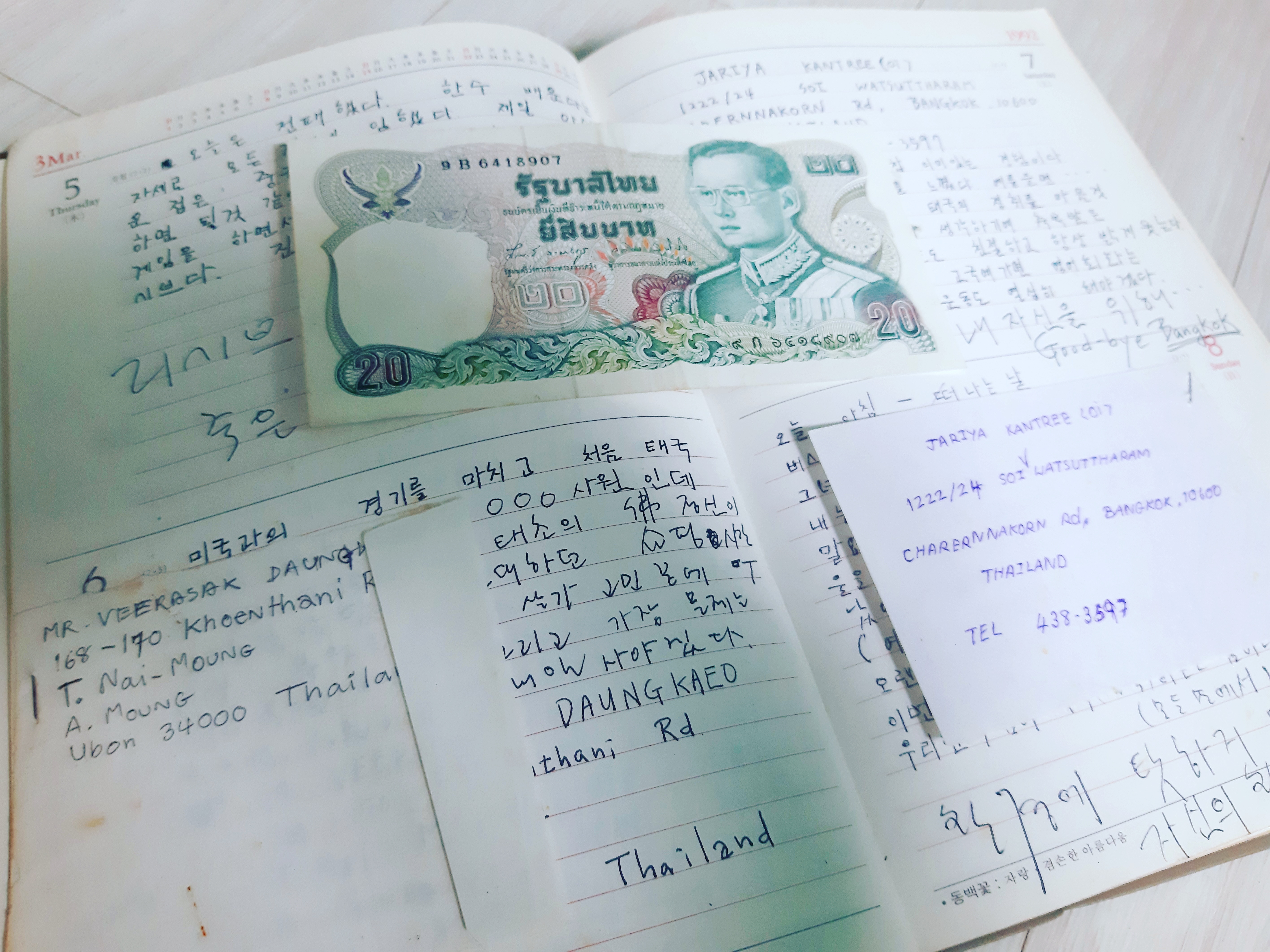 세팍타크로라이프일기장