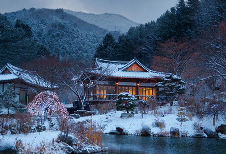 아침고요 수목원
