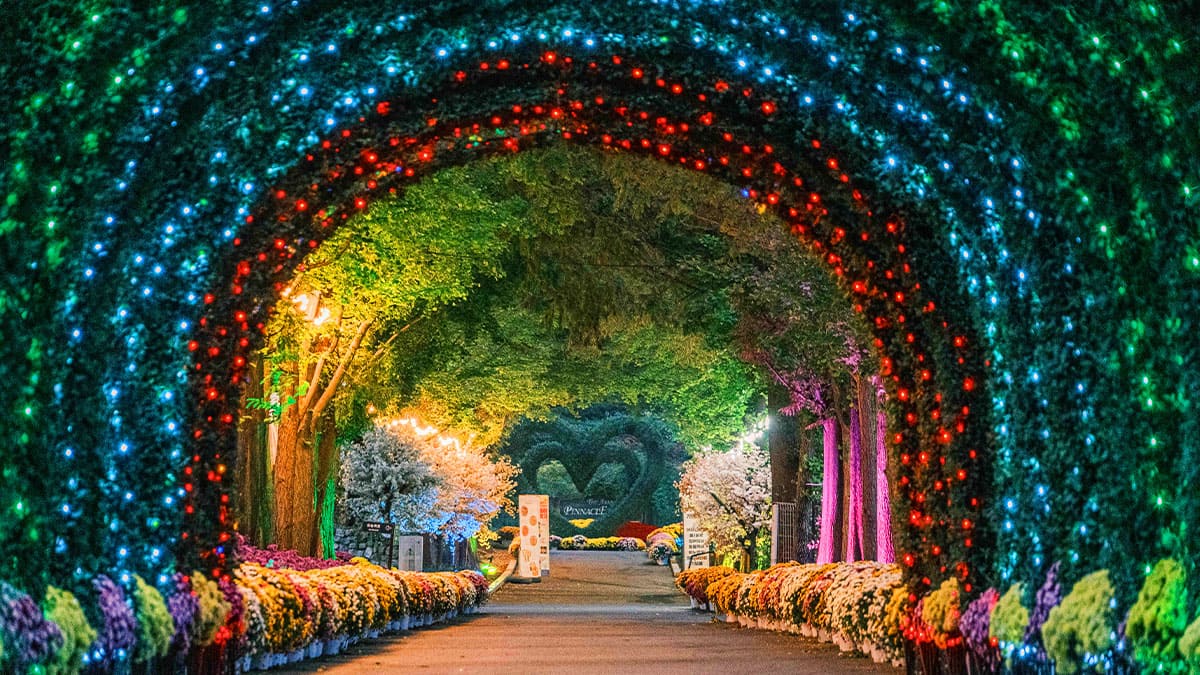 아산 피나클랜드