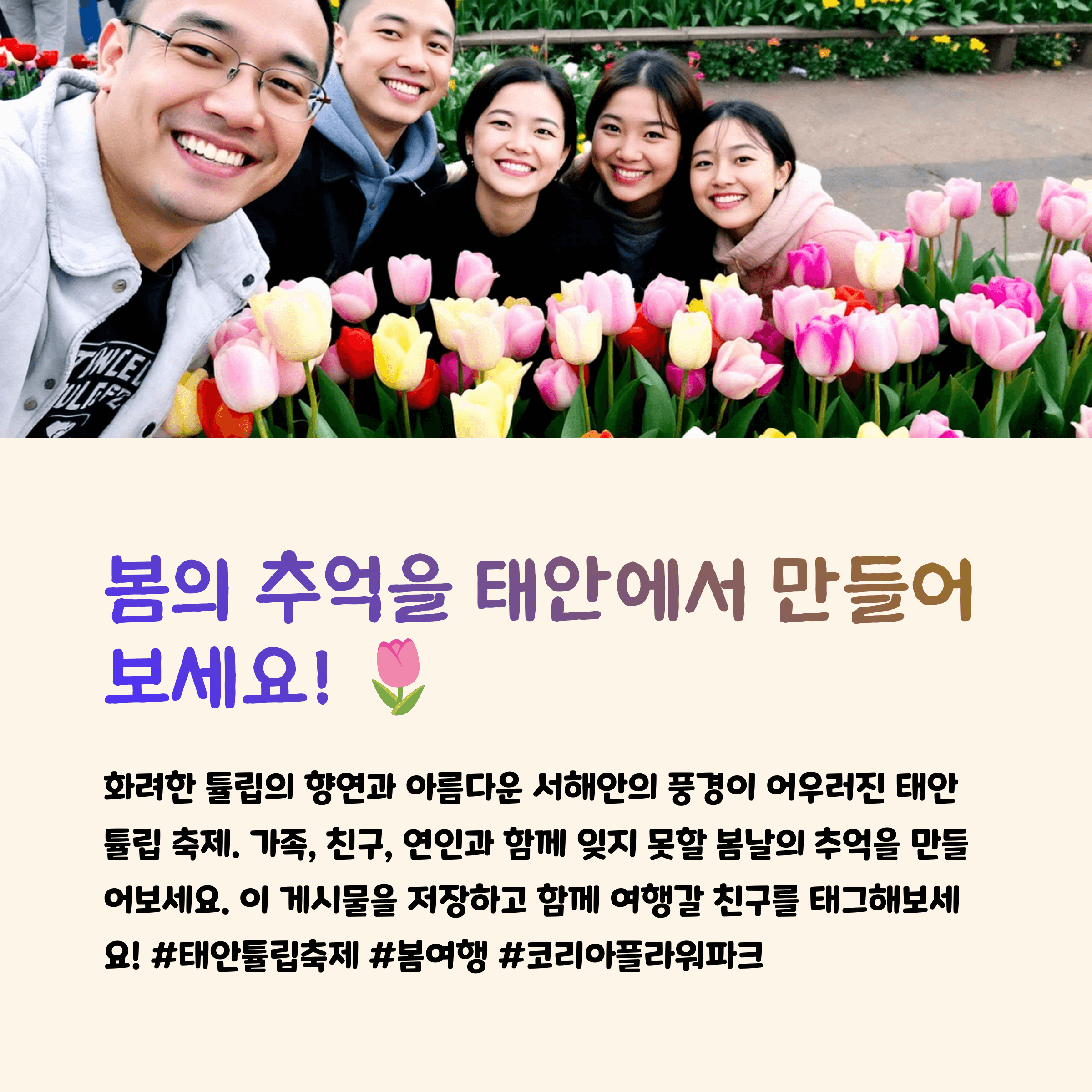 안면도 튤립 축제