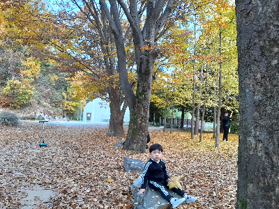 가을 단풍 나무 아래에서 사진을 찍은 어린 아이