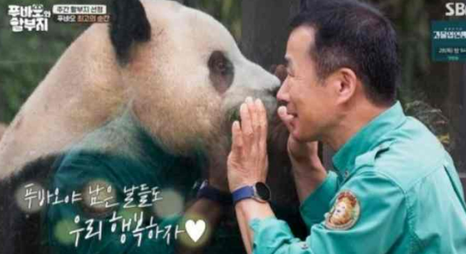 안녕할부지