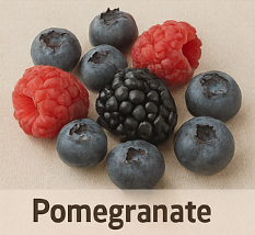 전립선에 좋은 음식