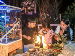 무주반딧불축제