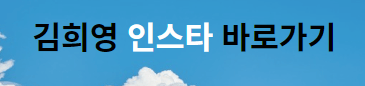최태원 동거인 김희영